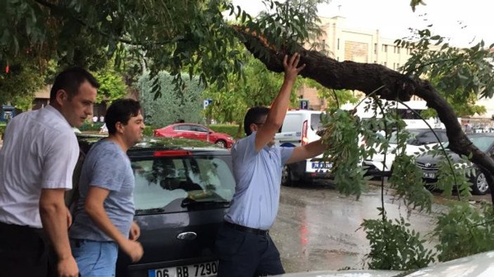 Eskişehir'de fırtına ağaçları devirdi