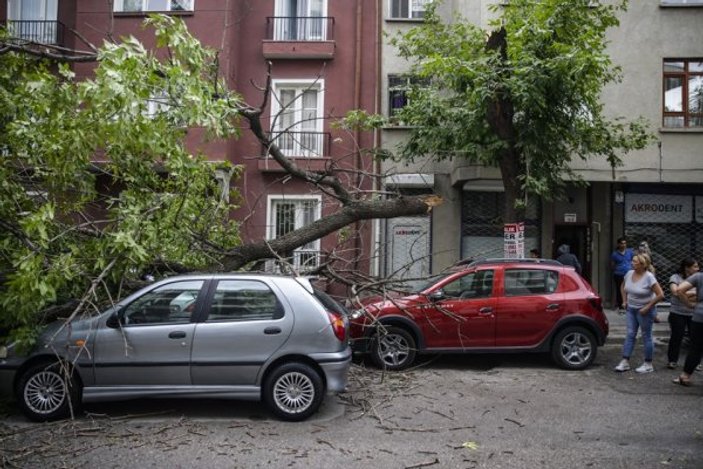 Ankara'da şiddetli rüzgar ağaçları devirdi