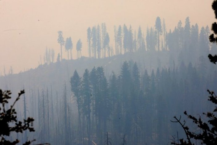 İsveç'te orman yangınına bombalı müdahale