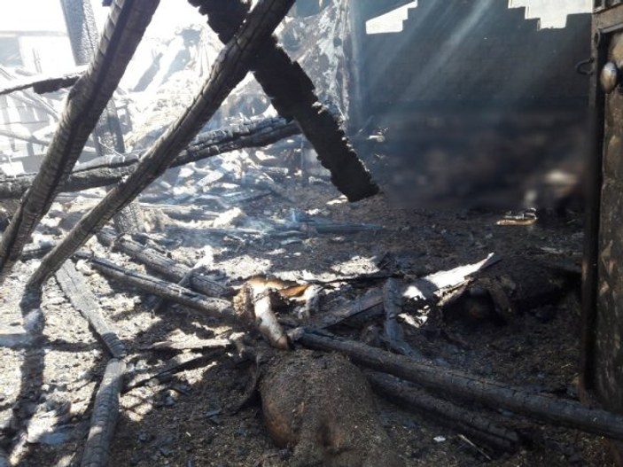 Siirt'te yangın faciası: 110 koyun telef oldu