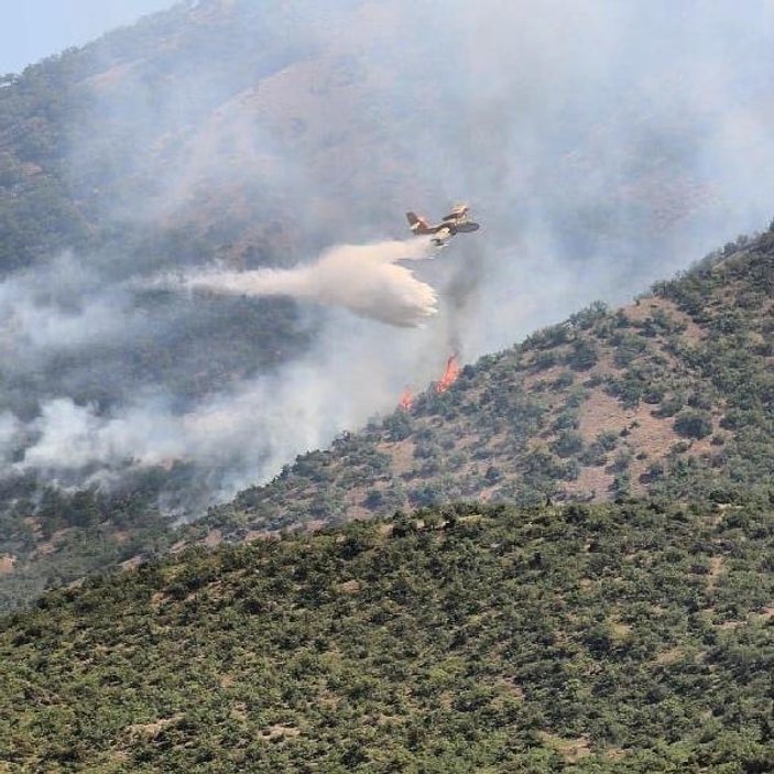 Tunceli'de 3 gündür süren yangın söndürüldü