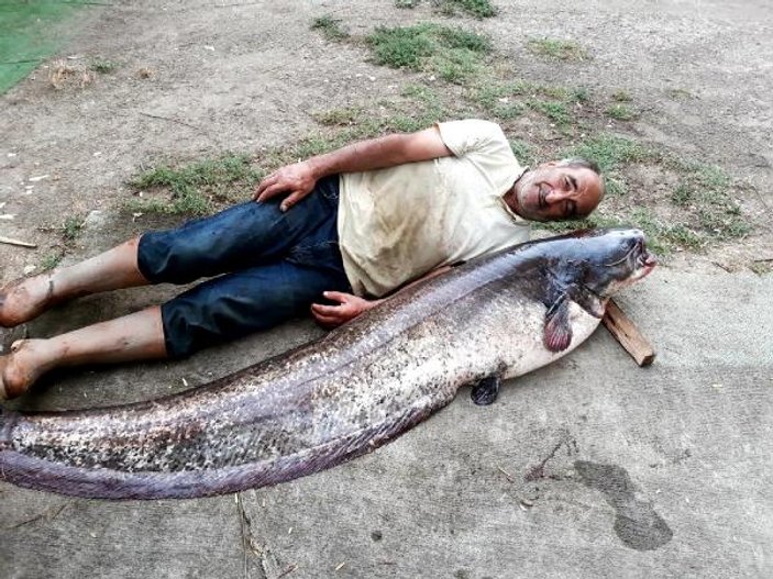 İznik Gölü'nde 2 metre boyunda yayın balığı yakalandı