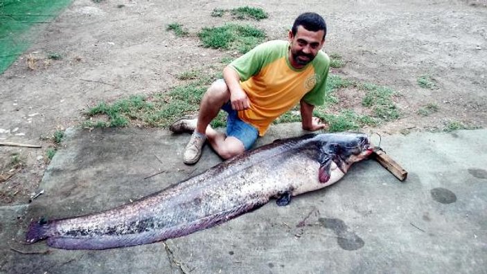 İznik Gölü'nde 2 metre boyunda yayın balığı yakalandı