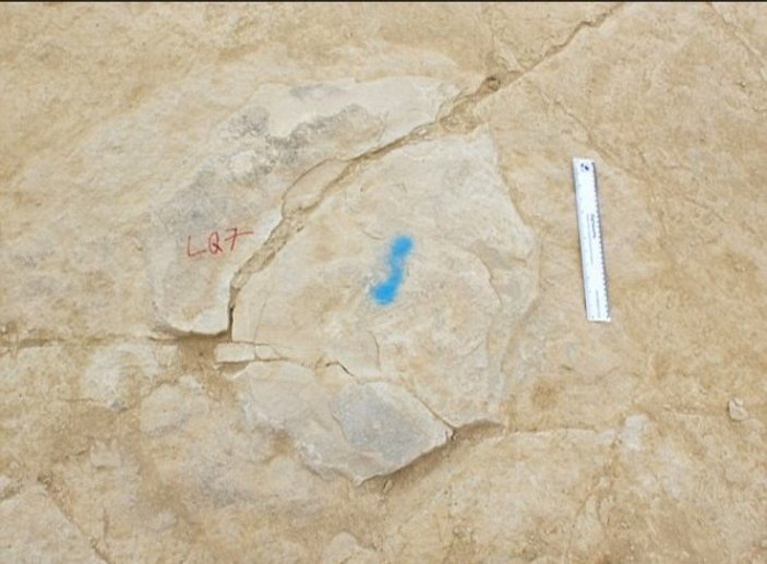 140 milyon yıllık ayak izi