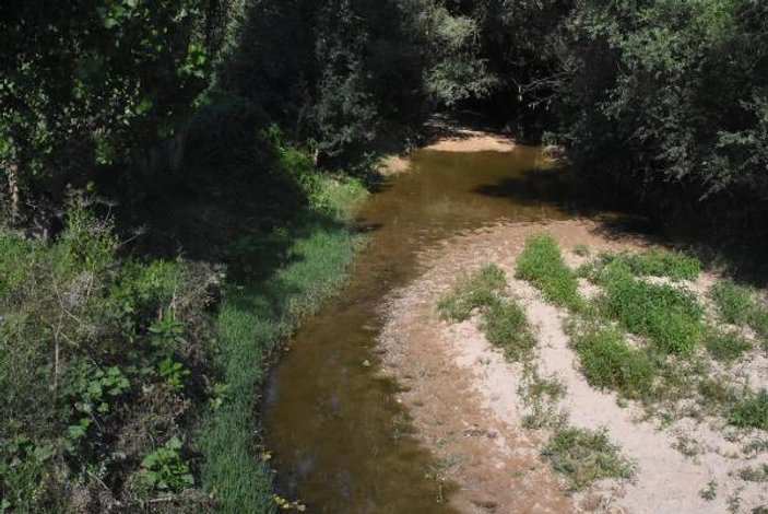 Kırklareli'de patlayan gübre havuzu dereye aktı