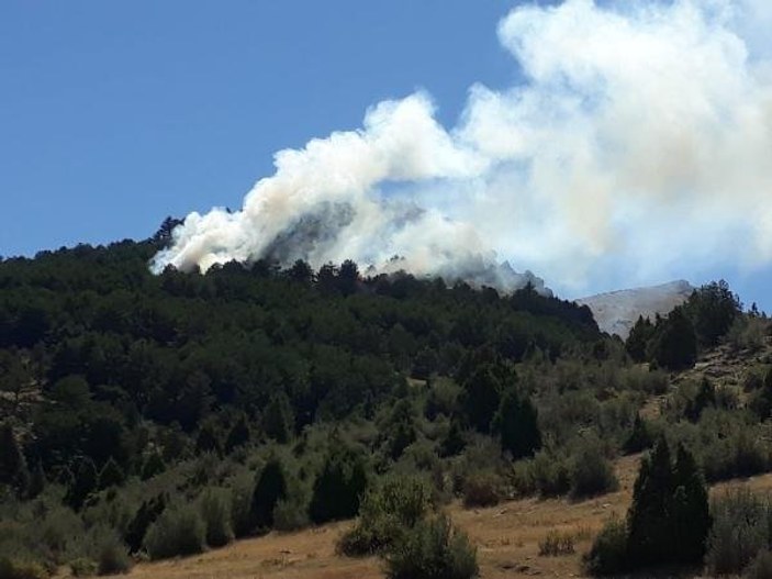 Konya'da orman yangını meydana geldi