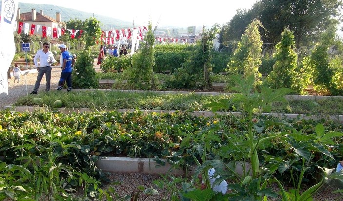 Türkiye'nin en geniş yerel tohum merkezi açıldı