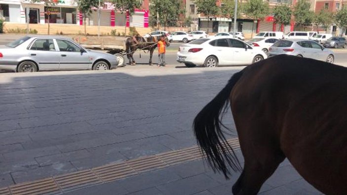 Yere yığılan atını tekmeledi, bırakıp gitti