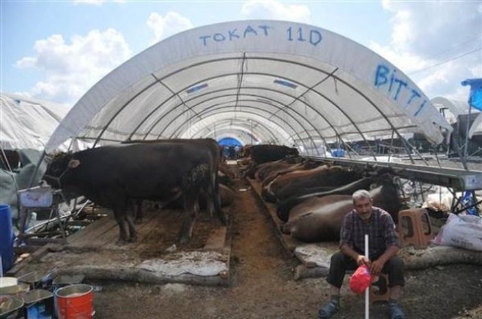 d Sultangazi'de kurban pazarında yoğunluk