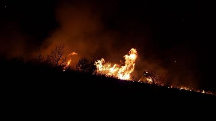 Trabzon'da fındık bahçelerinde yangın çıktı