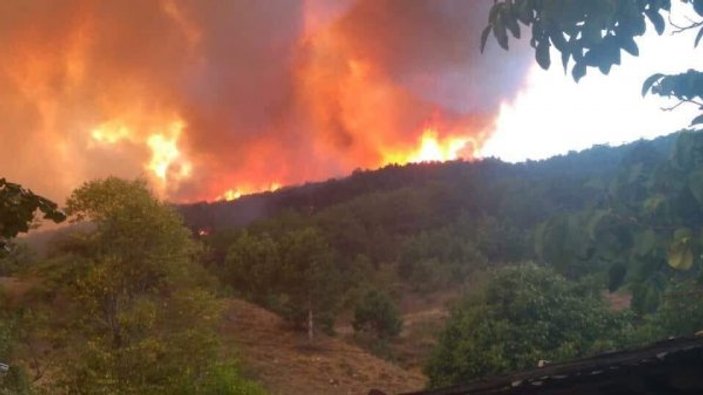 Kastamonu'daki yangın söndürülemedi