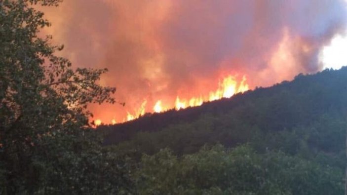 Kastamonu'daki yangın söndürülemedi