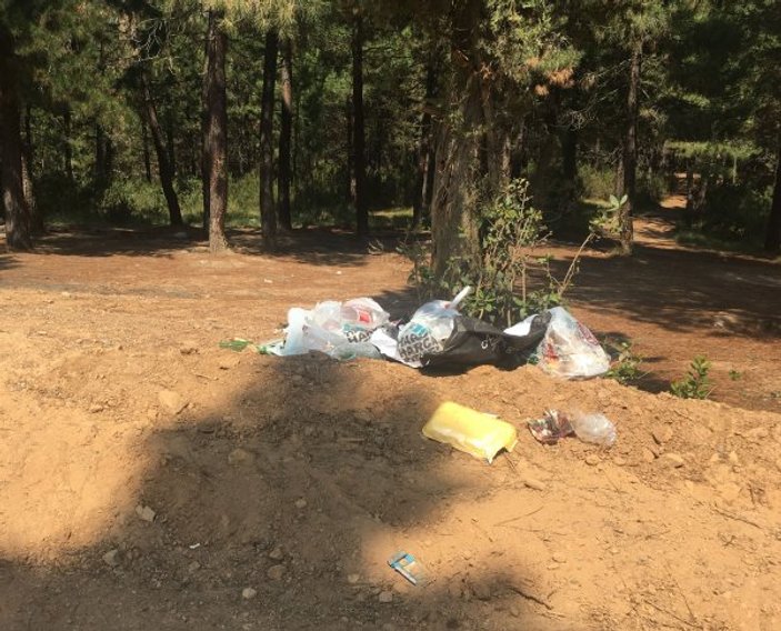 Piknikçiler Aydos Ormanı'nı çöplüğe çevirdi