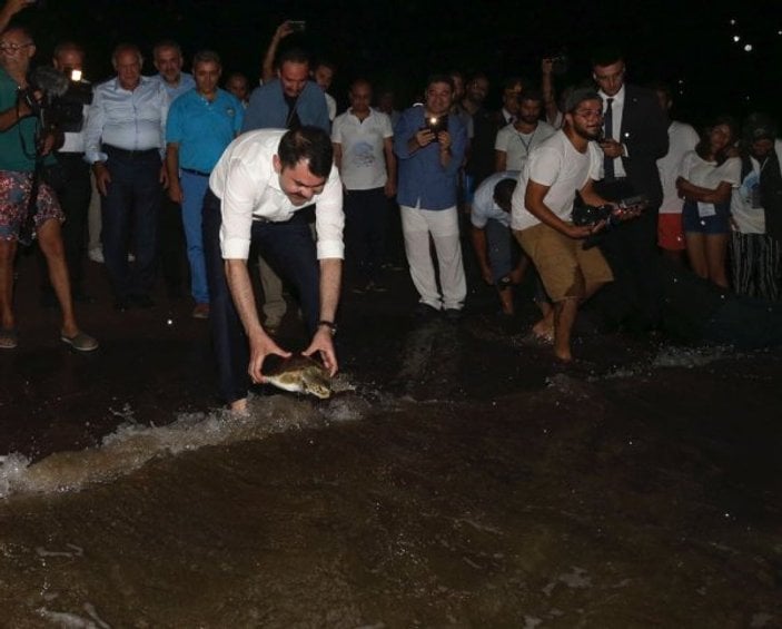 Murat Kurum caretta carettaları denize uğurladı