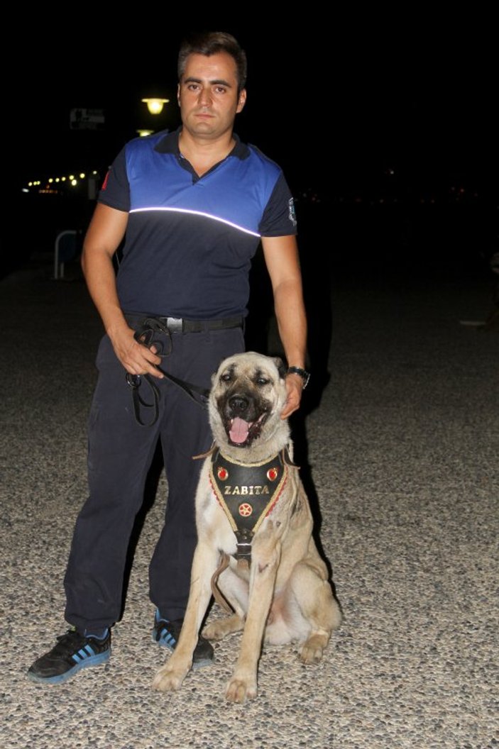 İşkence gören köpek belediyenin kadrolu işçisi oldu