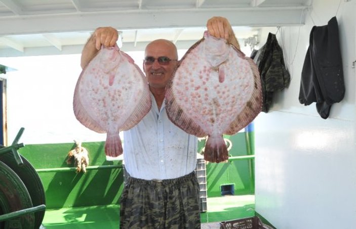 Karadeniz’de balık bereketi