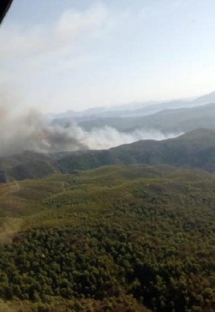 Muğla'da kızılçam ormanı yangını