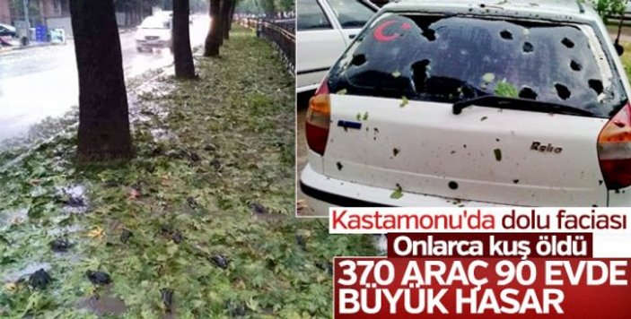 Kastamonu'da dolu nedeniyle hasar gören araç sayısı 8 bine ulaştı
