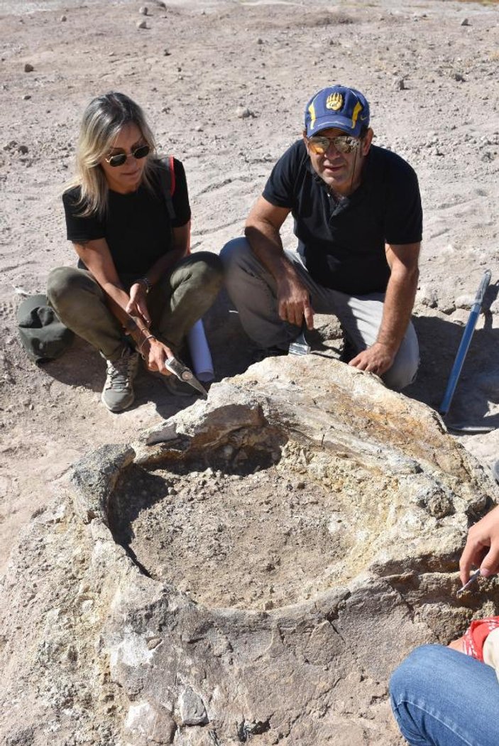 10 milyon yıl önce yaşamış fil fosillerini çoban buldu