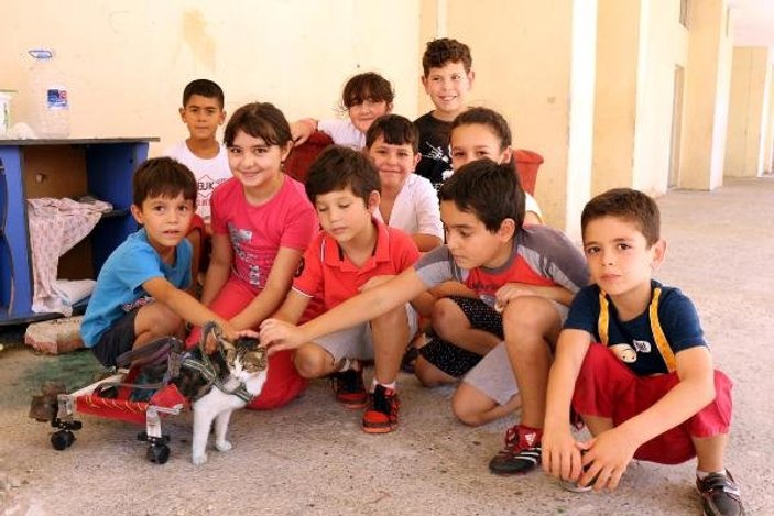 Osmaniye'de engelli kediye hurda parçalarından ortez