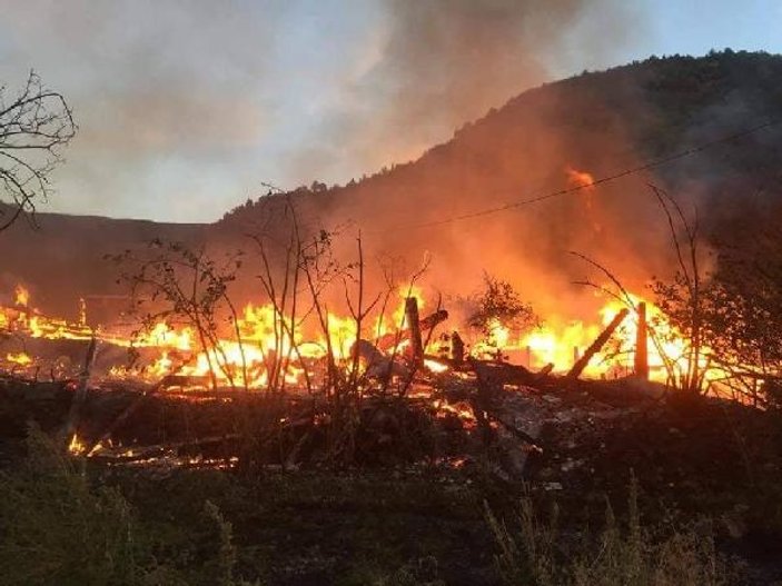 Kastamonu'da köyde yangın, 9 ev ve bir ahırı kül etti