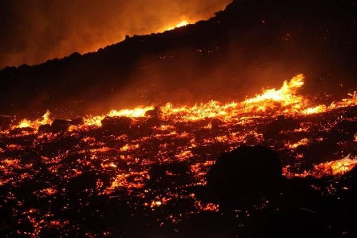 Bodrum'da yangın: 40 hektar kül oldu