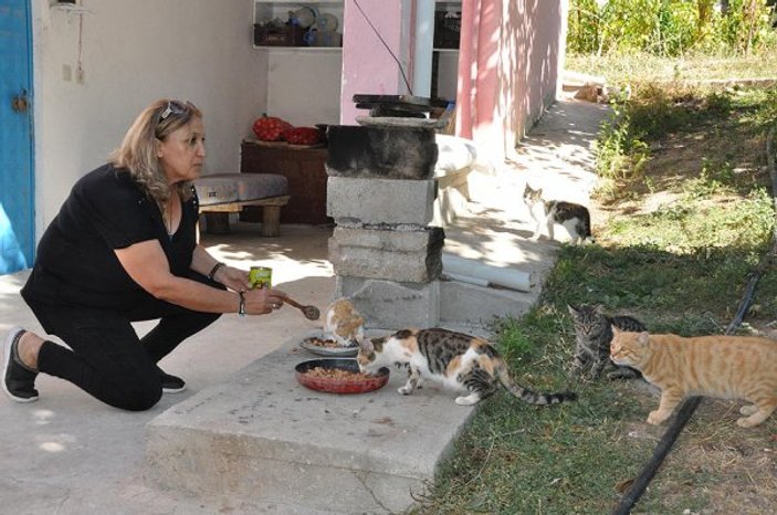 Köyde terk edilmiş kedilere annelik yapıyor