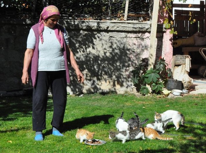 Köyde terk edilmiş kedilere annelik yapıyor