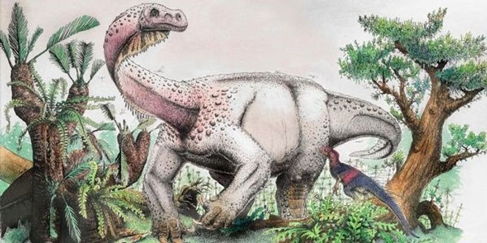 Güney Afrika'da yeni bir dinozor türü keşfedildi