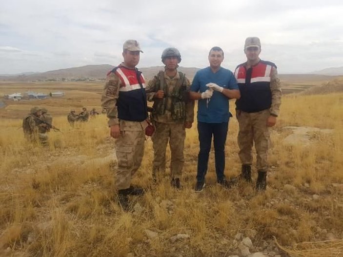 Van'da askerler nesli tükenmekte olan Arap Tavşanı buldu