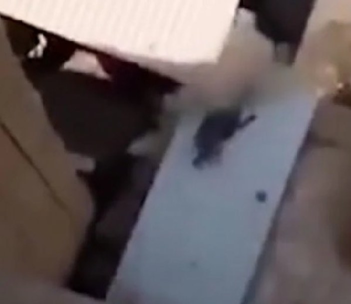 Kuveyt'te insanlık ölmüş dedirten görüntüler