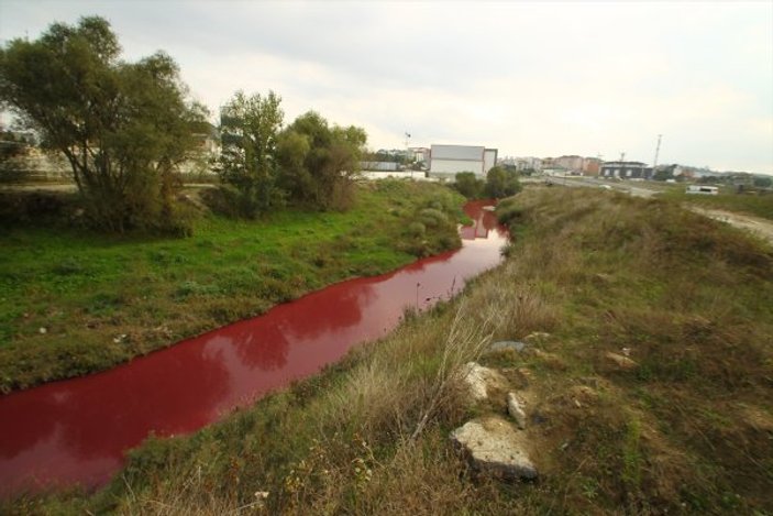 Kimyasal atık karışan Ergene Nehri kırmızı akıyor