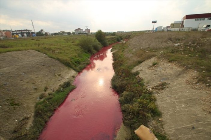Kimyasal atık karışan Ergene Nehri kırmızı akıyor