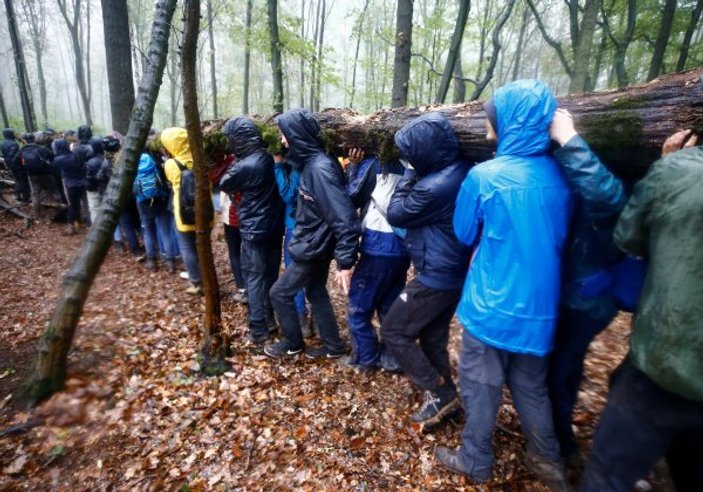 Hambach Ormanı'ndaki tahliyeler tamamlandı