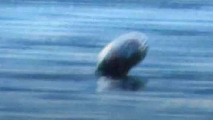 Kanada'da Okanagan Gölü canavarı kendini gösterdi