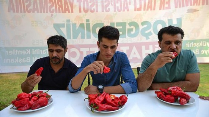 Şanlıurfa'da isot yeme yarışması