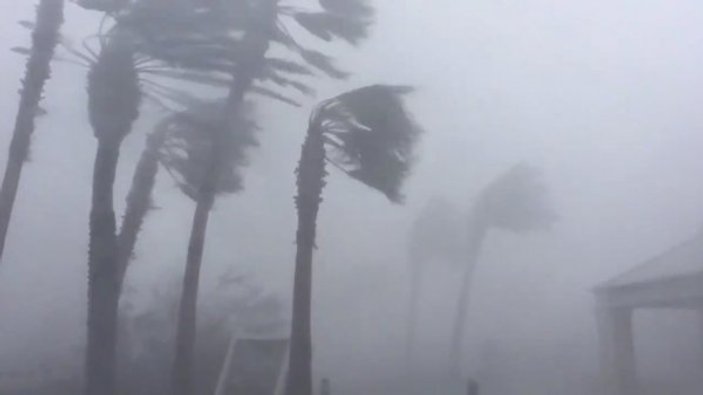 Michael Kasırgası Florida'ya ulaştı