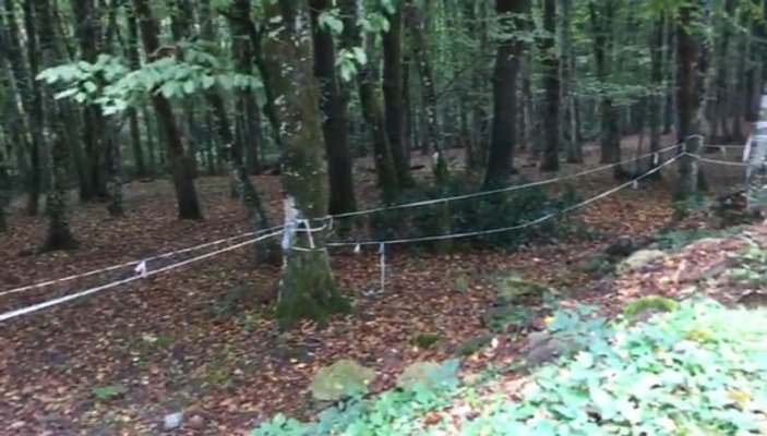 Polis Cemal Kaşıkçı'nın izini Belgrad Ormanı'nda arıyor