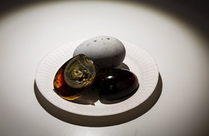 Dünyanın ilk İğrenç Yemek Müzesi açılıyor