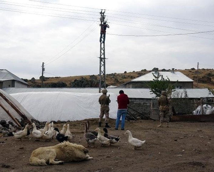 Ağrı'da jandarma destekli kaçak elektrik operasyonu