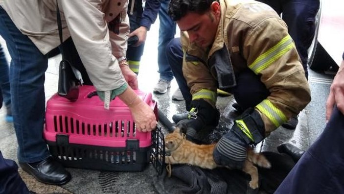 Taksim Meydanı'nda itfaiyeden kedi kurtarma operasyonu