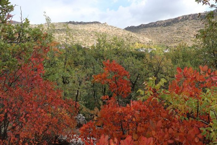 Diyarbakır'da sonbahar güzelliği yaşanıyor