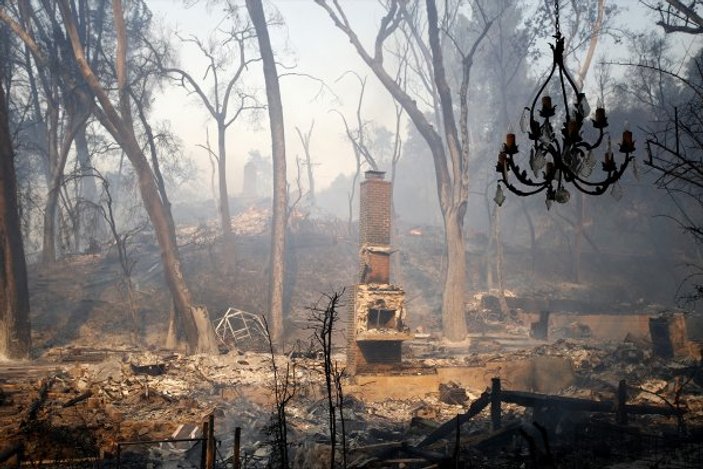 ABD’de orman yangını: 9 ölü