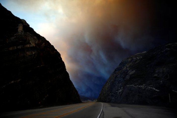 ABD’de orman yangını: 9 ölü
