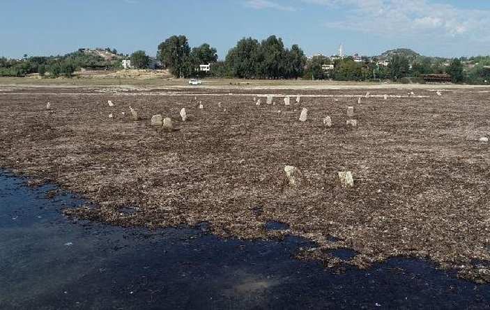 Adana'da baraj gölünde su çekildi mezarlık ortaya çıktı