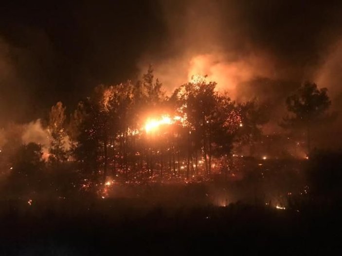 Mersin'de ağaçlık alanda yangın
