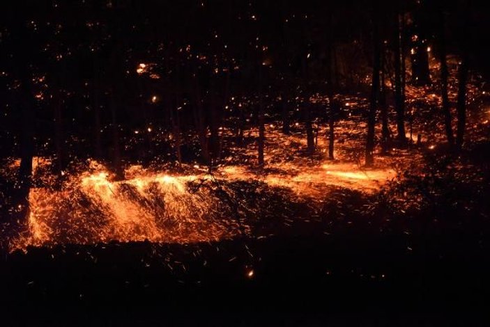 Mersin'de ağaçlık alanda yangın