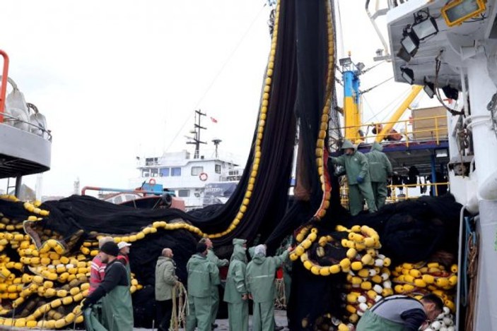 Akçakoca'da balıkçılar 4 günde 500 ton hamsi avladı