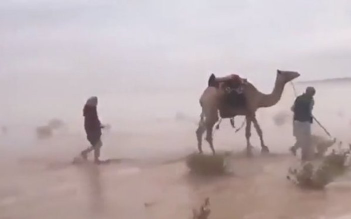 Suudi Arabistan'da çöl denize döndü
