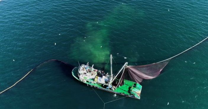 i Balıkçıların yüzü hamsi ile gülüyor
